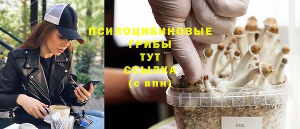 мяу мяу мука Верхнеуральск