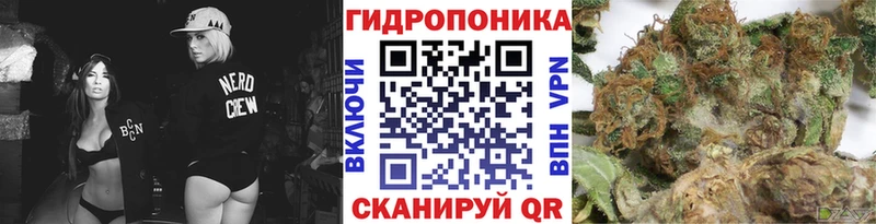 наркошоп  Курск  Шишки марихуана планчик 